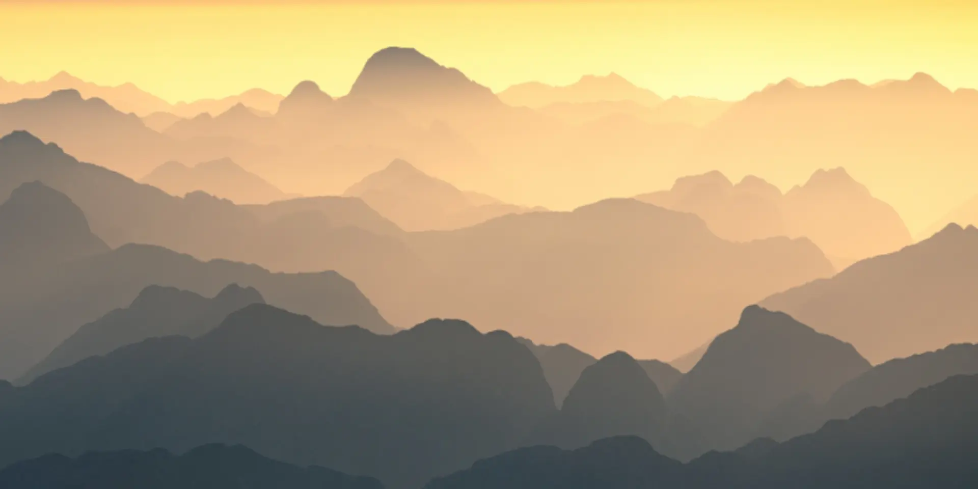 World Photography Day 2021 – five ace photographers salute the beauty of nature