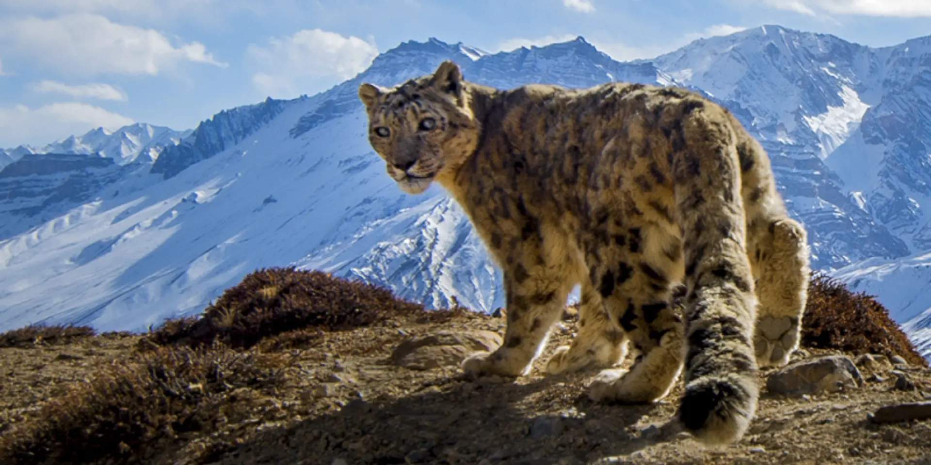 ‘It's not only about aesthetics, but also about stories’ – creativity and career tips from ace NatGeo photographer Prasenjeet Yadav