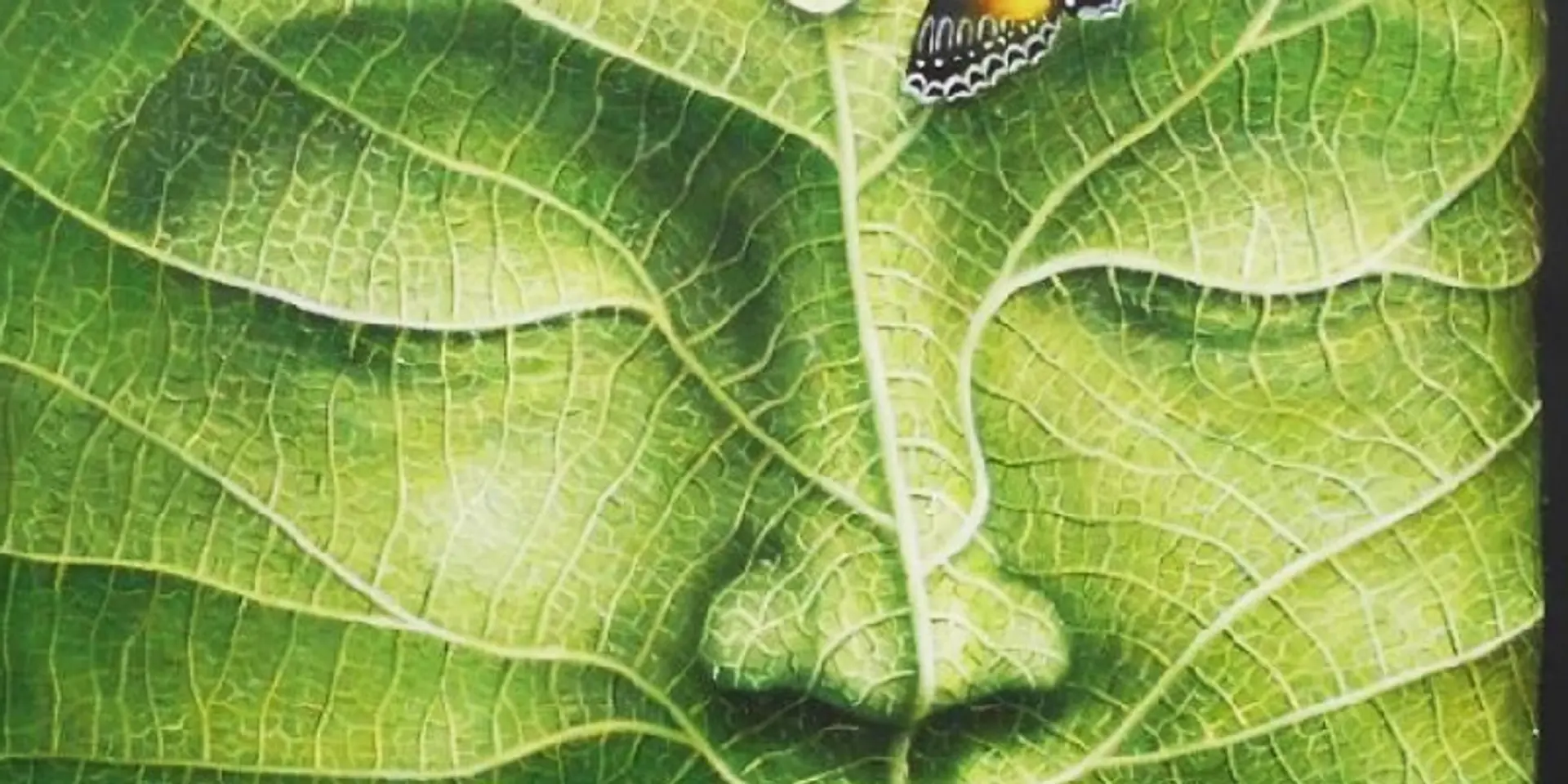 Communities, connections, collaboration–artworks and success tips from the MayinArt exhibition