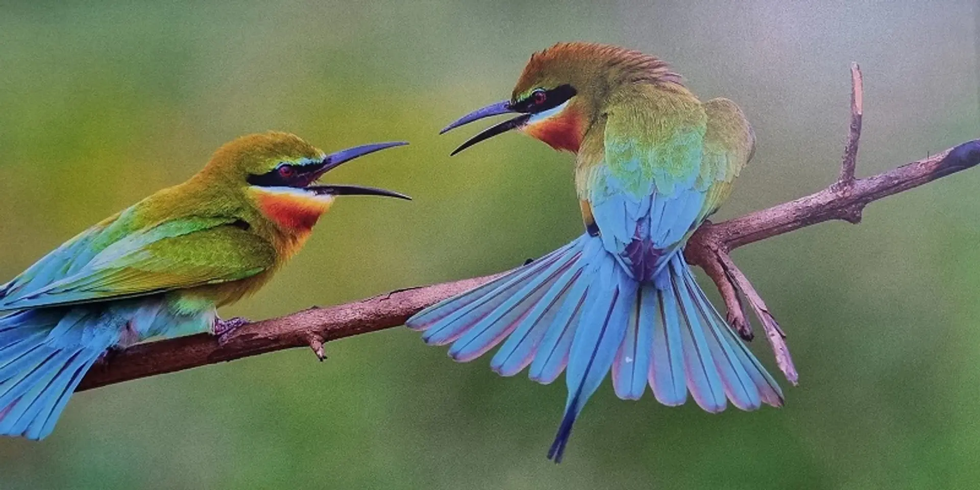 World Photography Day: Youth Photographic Society showcases annual exhibition in Bengaluru