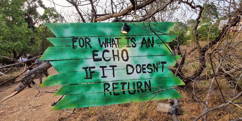 ‘Enjoy, respect, explore’—Messages of inspiration from the Echoes of Earth music festival