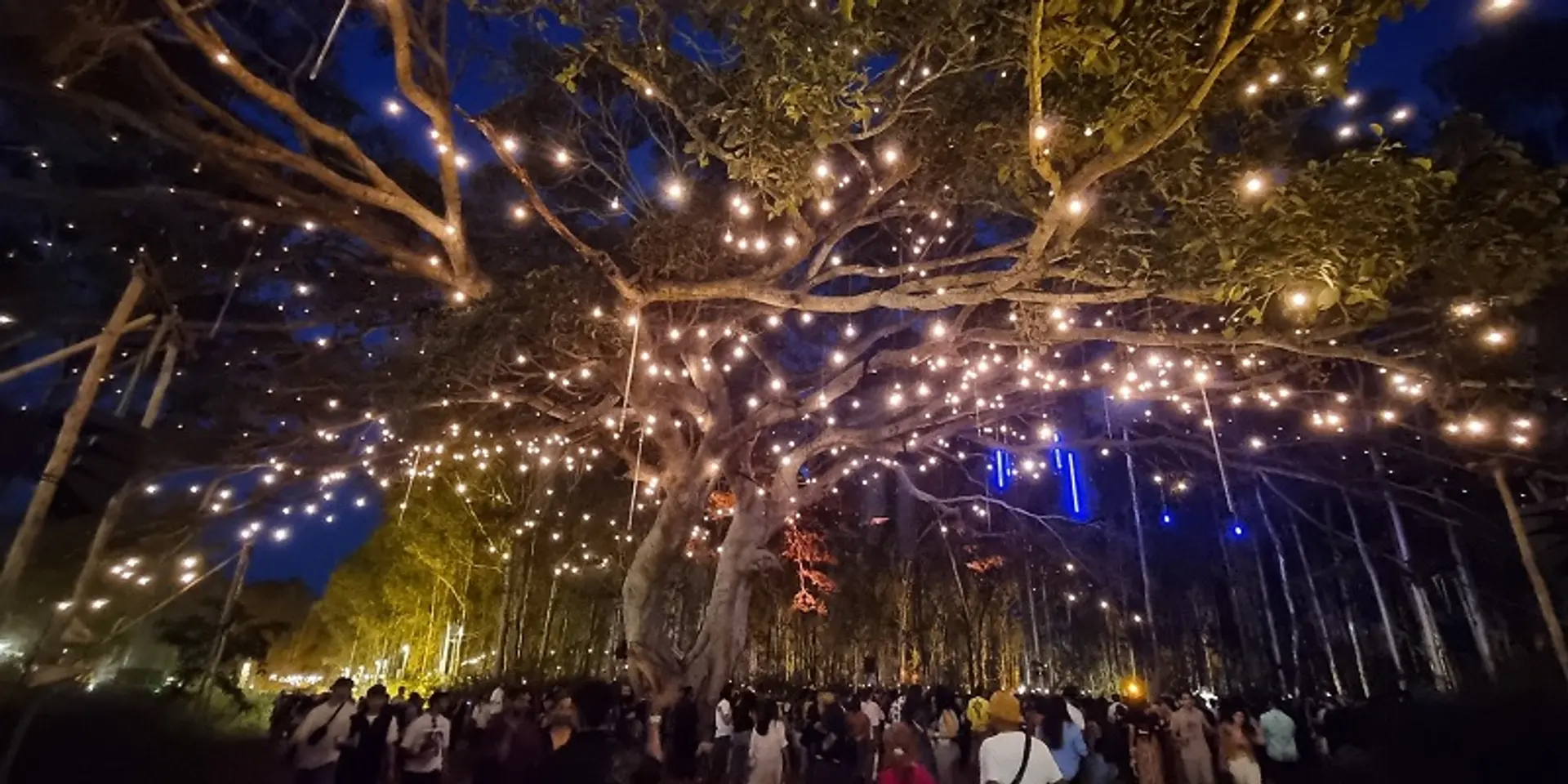 Echoes of Earth kicks off 7th edition of India’s greenest music festival