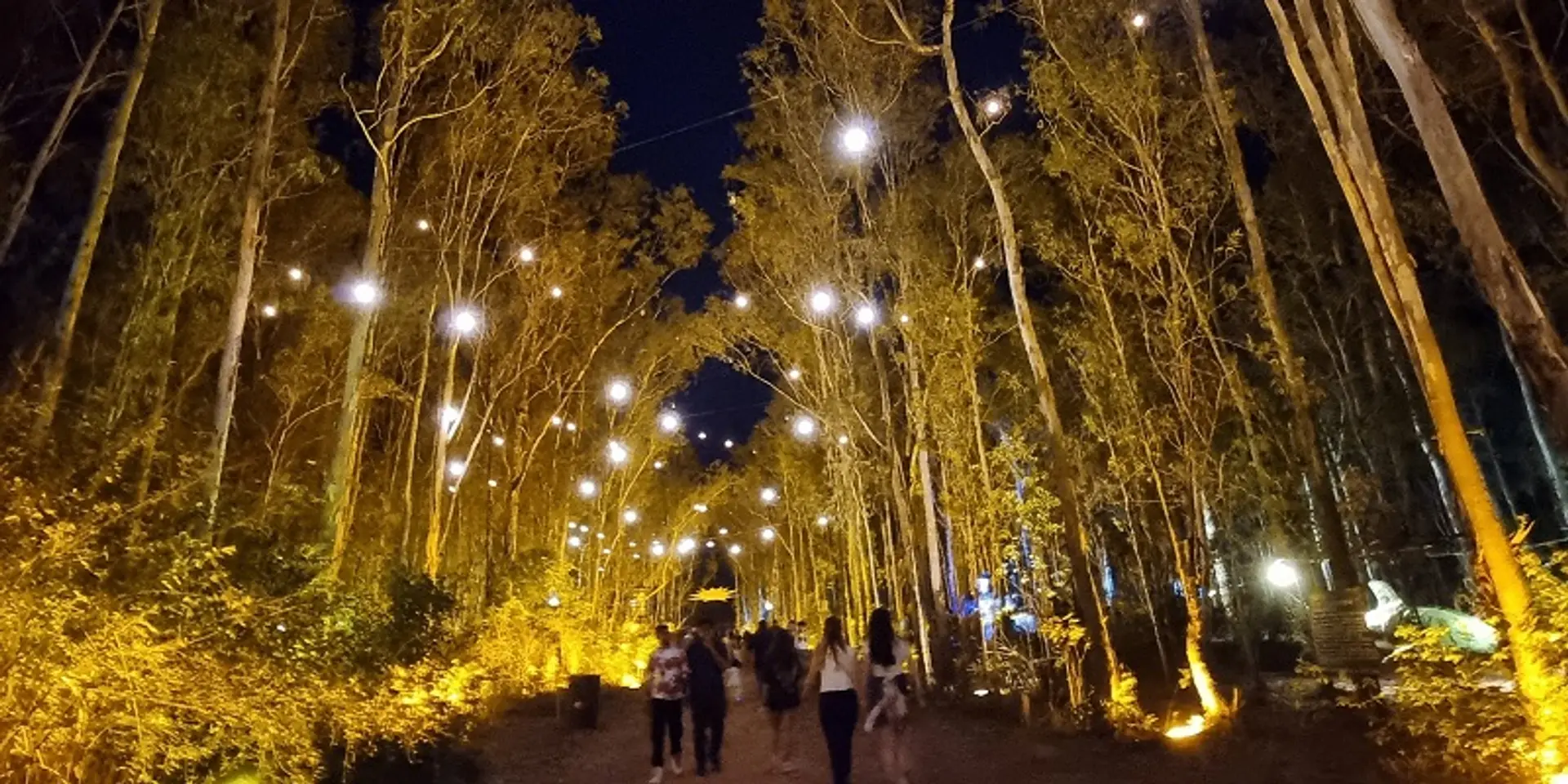 Symphony of Seasons festival combines music performances and environmental art