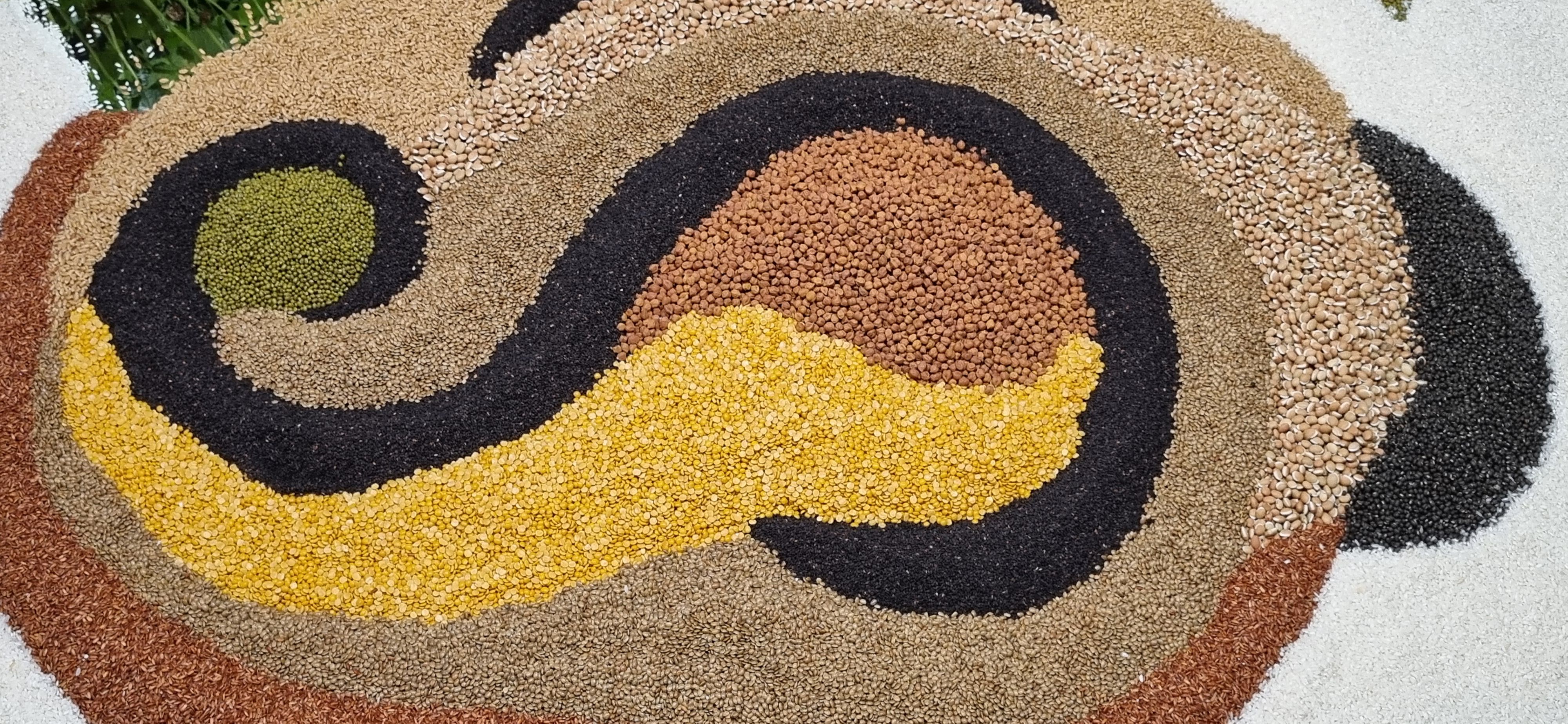 Art for a cause: Bhoomi exhibition highlights creativity for nature and social impact