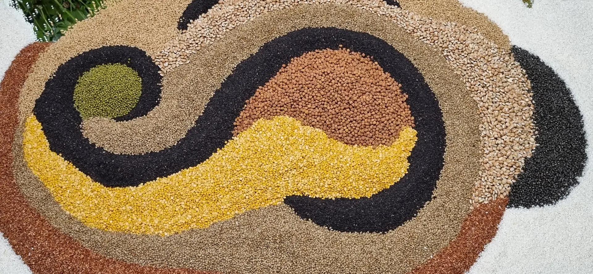 Art for a cause: Bhoomi exhibition highlights creativity for nature and social impact