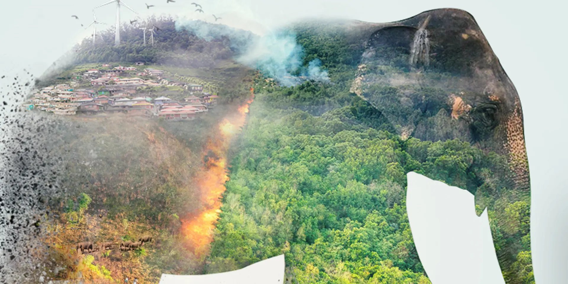 18,000 submissions, 40 countries: meet the winners of the Nature inFocus Photography and Film Contest 2021