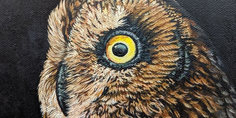 Why this former network engineer has hosted seven exhibitions on nature and wildlife