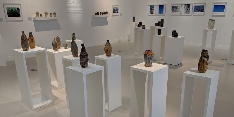 From medium to message: how this art exhibition raises awareness on environmental conservation