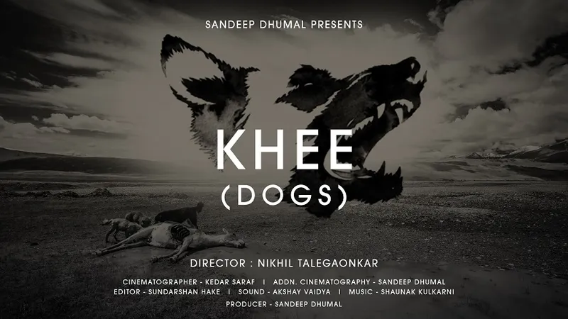 Films Winner Professional Conservation - Khee Dogs