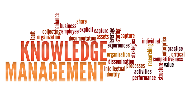 Knowledge management and digital transformation: how companies can ...