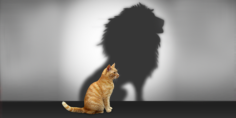 ‘Challenging yourself is the biggest challenge’ – 45 quotes from Indian startup journeys
