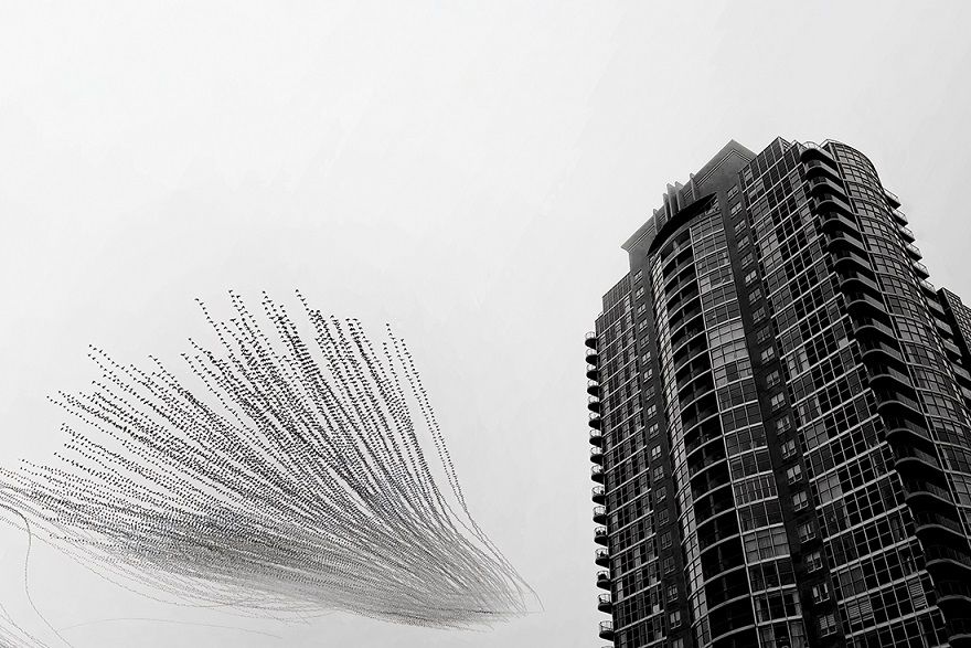 Runner-up - Raghuvamsh Chavali