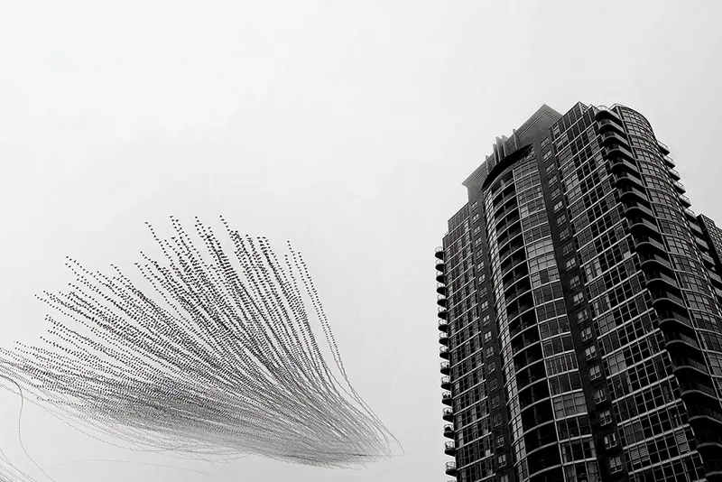 Runner-up - Raghuvamsh Chavali