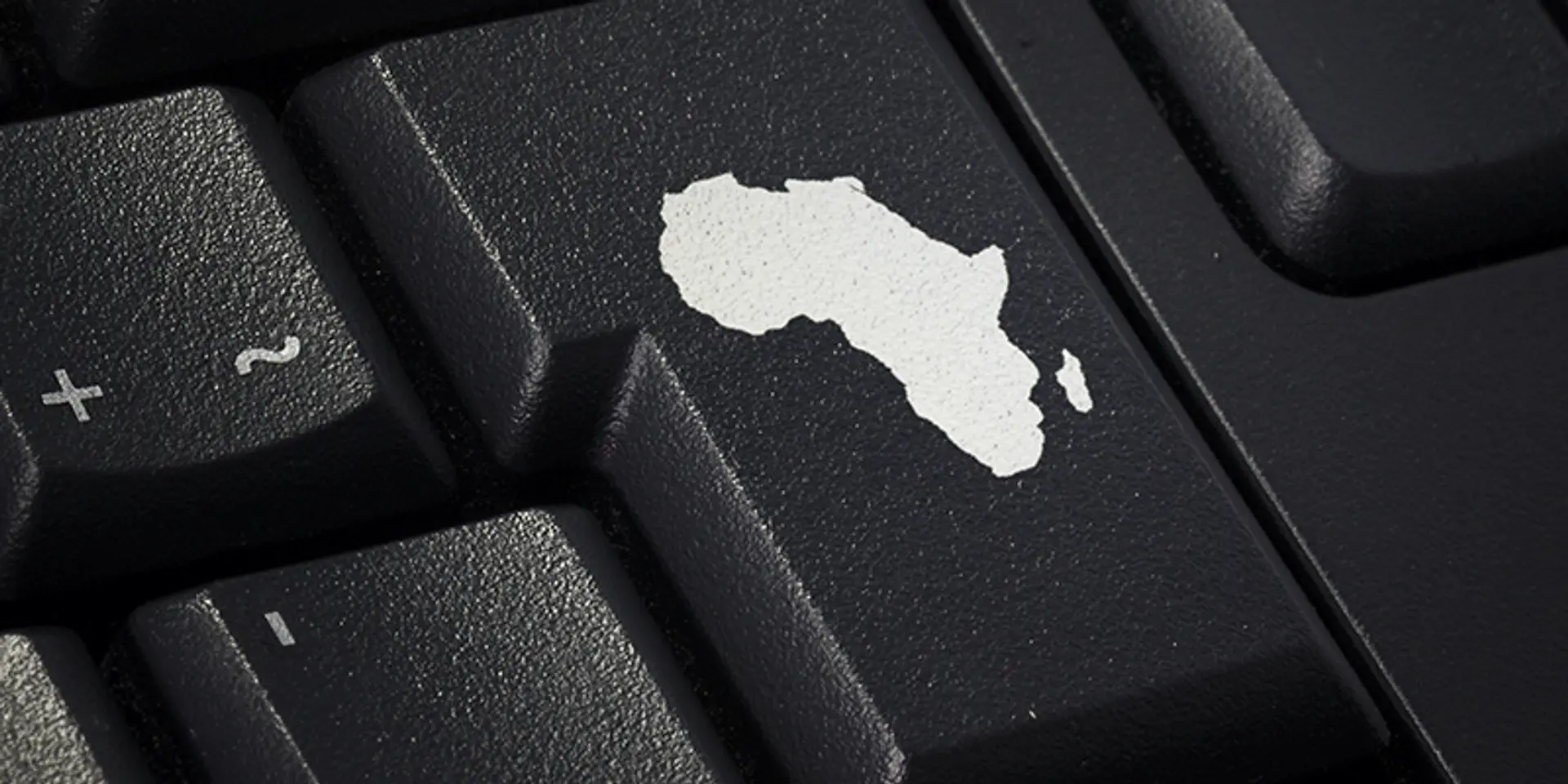 Knowledge management and digital transformation: how this initiative connects agribusiness, aquaculture, and livestock communities