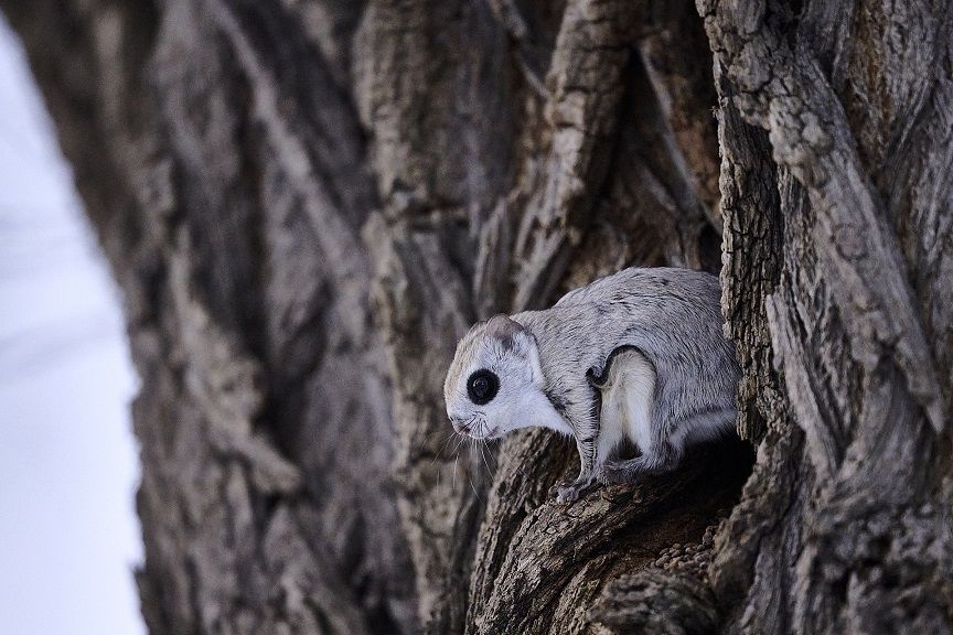 Special Mention - Philippe Ricordel