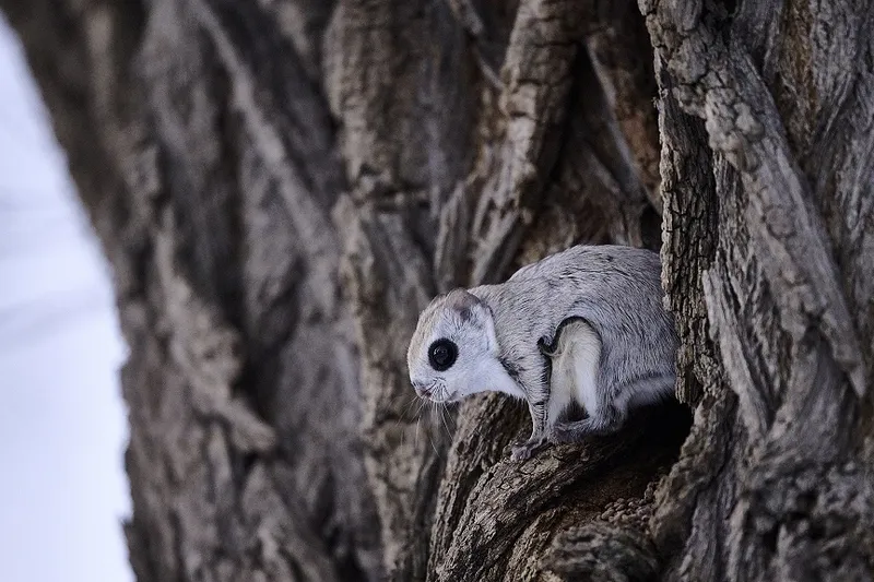 Special Mention - Philippe Ricordel