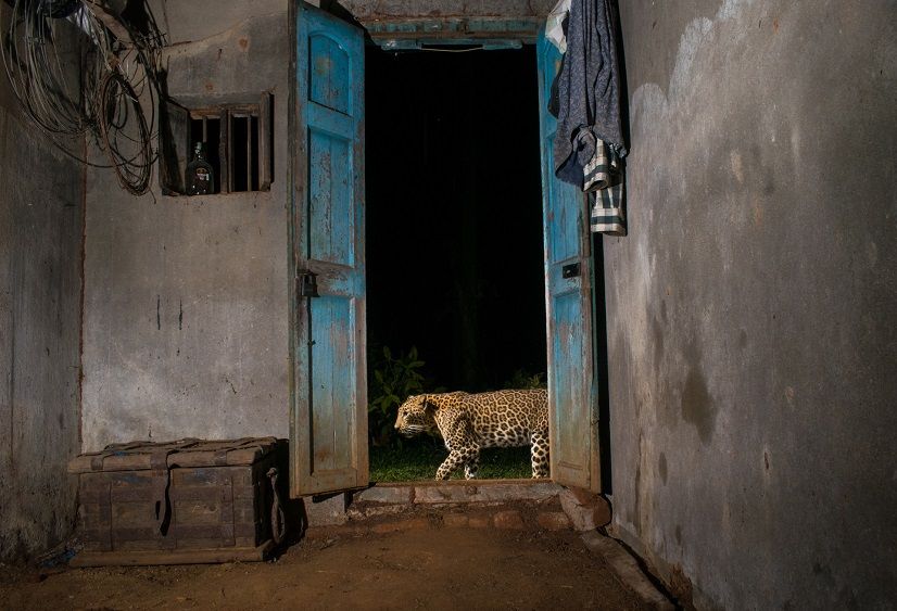 Special Mention - Pruthvi B