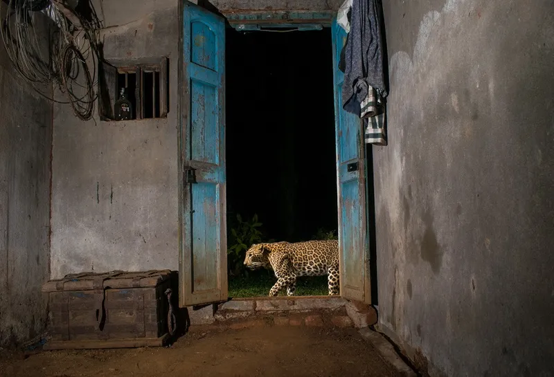 Special Mention - Pruthvi B