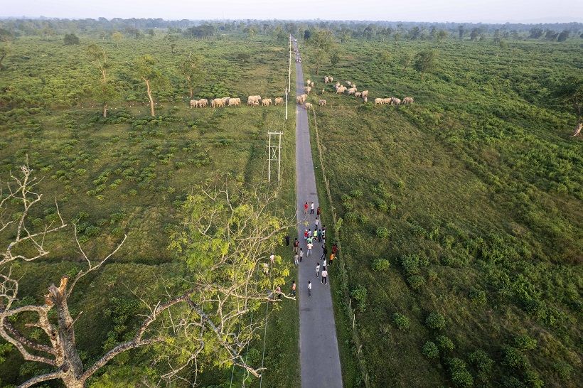 Special Mention - Sachin Bharali