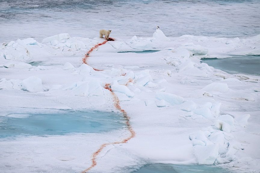 Special Mention - Sergey Gorshkov (2)