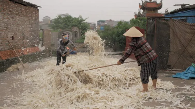 Still from Where Birds Dance Their Last (2013). Image courtesy of filmmaker Lena Bui