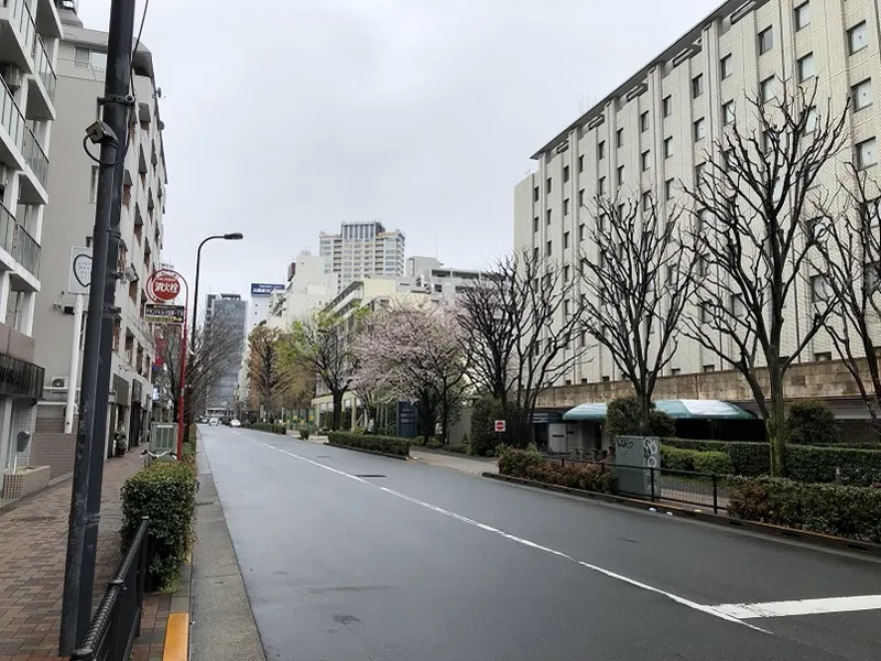 Tokyo streets on March 28