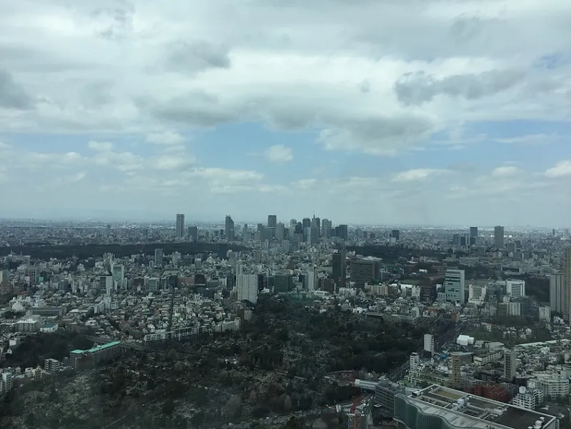 View from Roppongi Hills toward Shinjuku