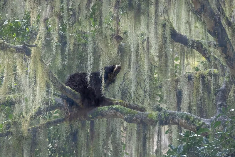 Wildscape and Animal Habitat -Jacquie Matechuk