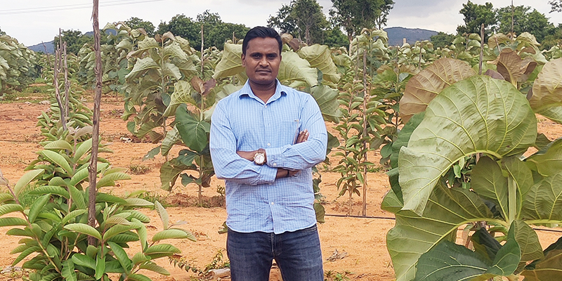 How Vibez Estates, an agro realty company enables investments in farmlands that are sustainable and financially viable

