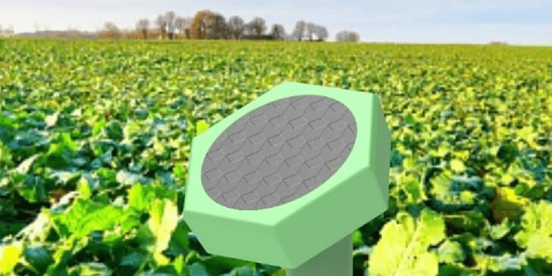How Cisco LaunchPad portfolio startup Sensegrass is creating 360-degree smart farming solutions