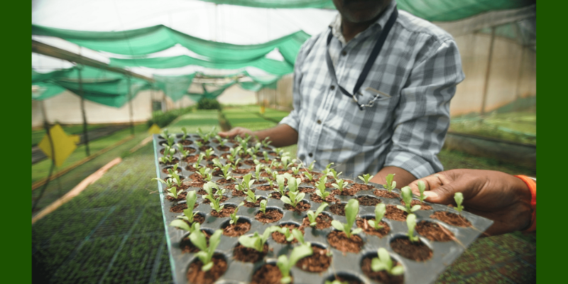 How traceability can heal our splintered food and Agri supply chains from farm to fork