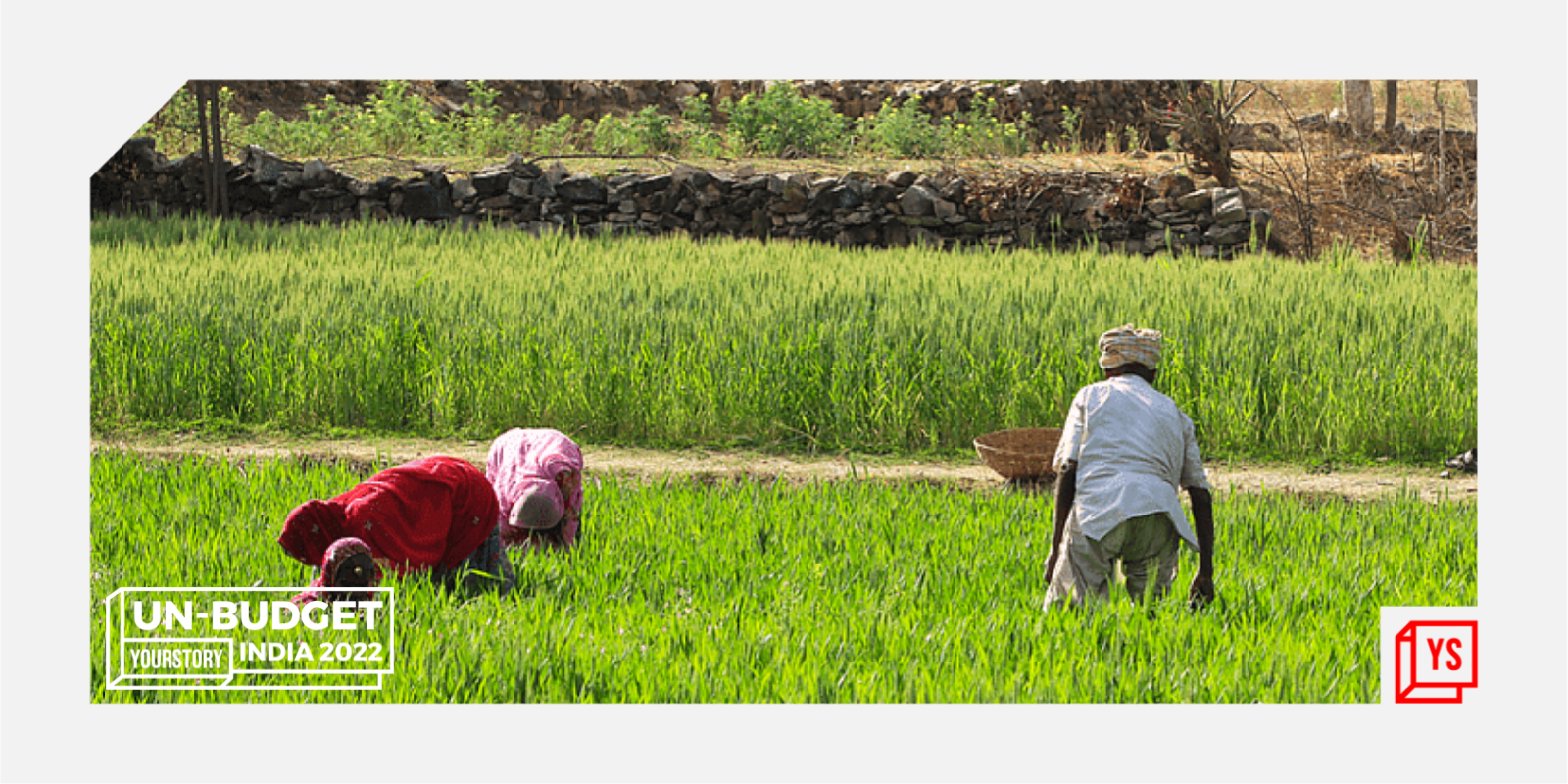 Union Budget 2022 is forward-looking for the agri-ecosystem, say experts