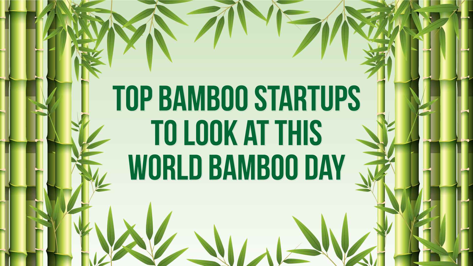 On World Bamboo Day, a look at some startups building sustainable products