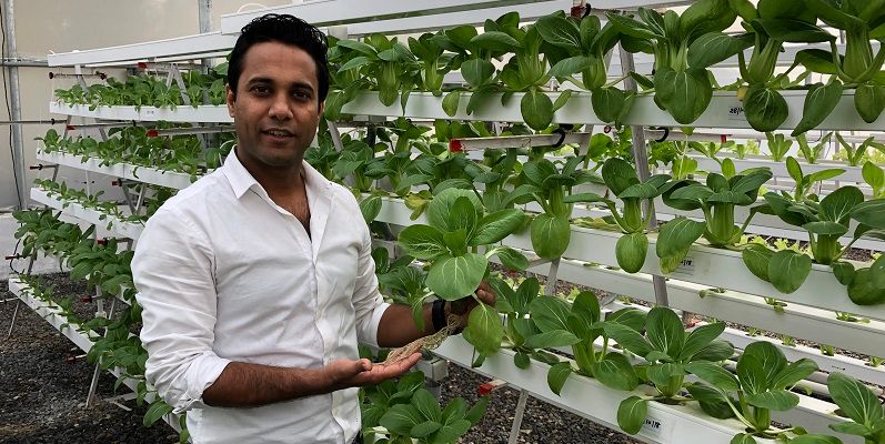 Roots of labour: IIM alumni's startup Barton Breeze brings farms to your doorstep