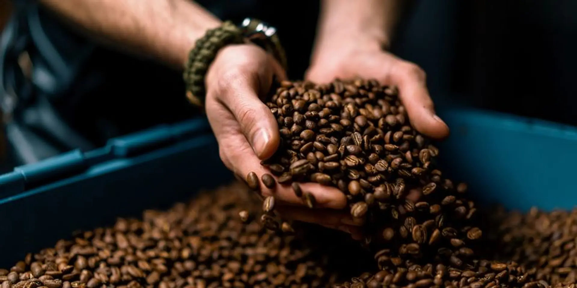 Careers in coffee: Diverse opportunities in a thriving industry