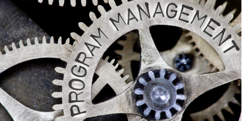 Program Management, Program manager