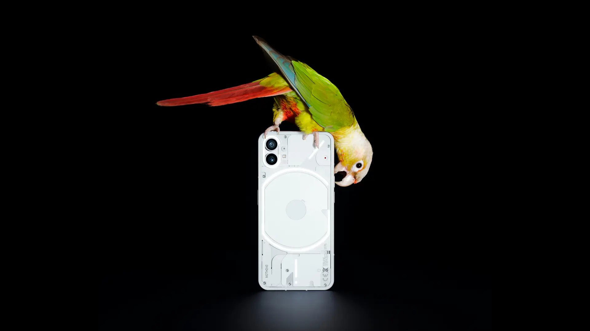 Nothing to manufacture Phone (2) in India