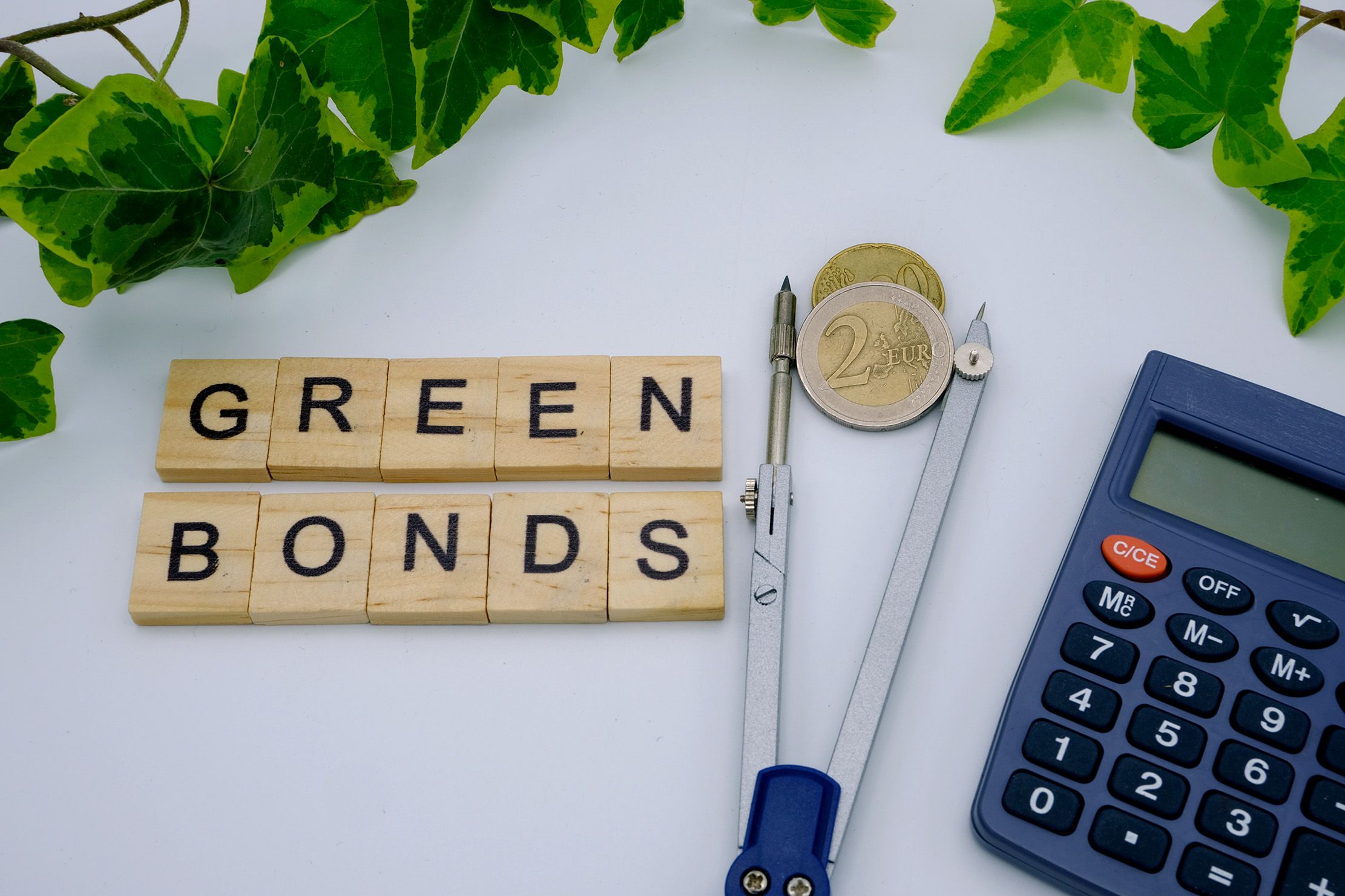 Govt likely to issue green bonds in Jan-March quarter