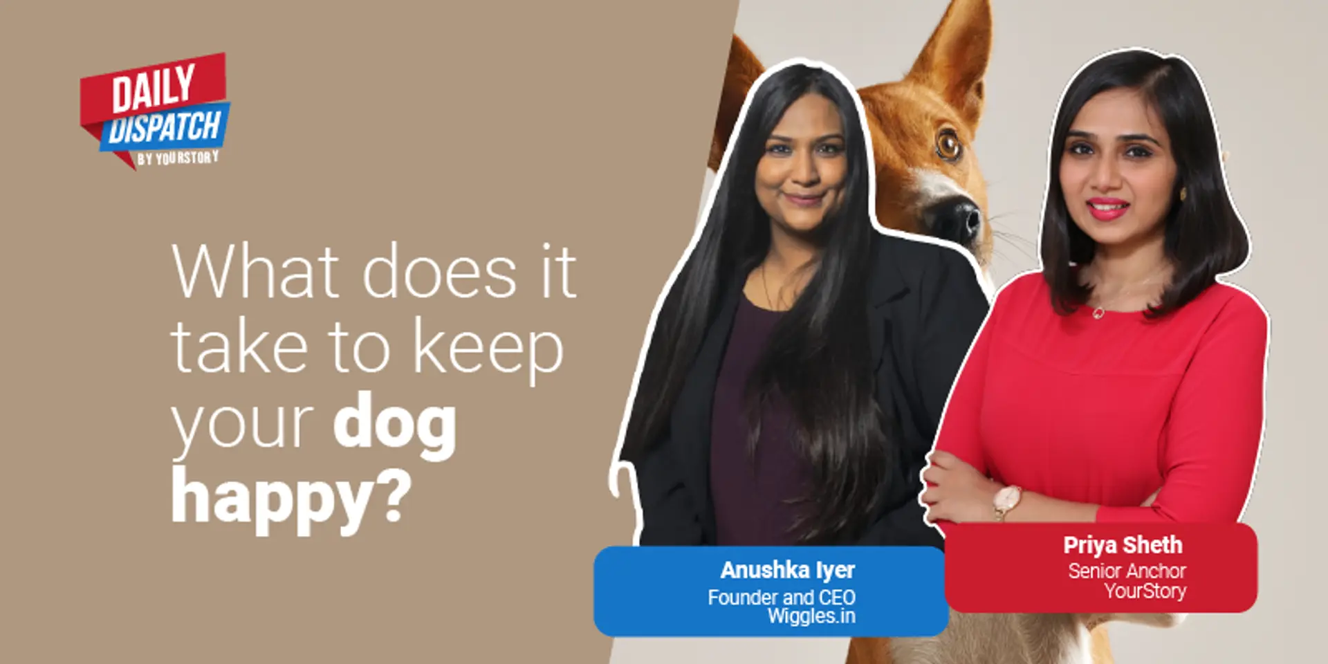 Pet care startup Wiggles.in in talks to raise $3M as it gets on growth track