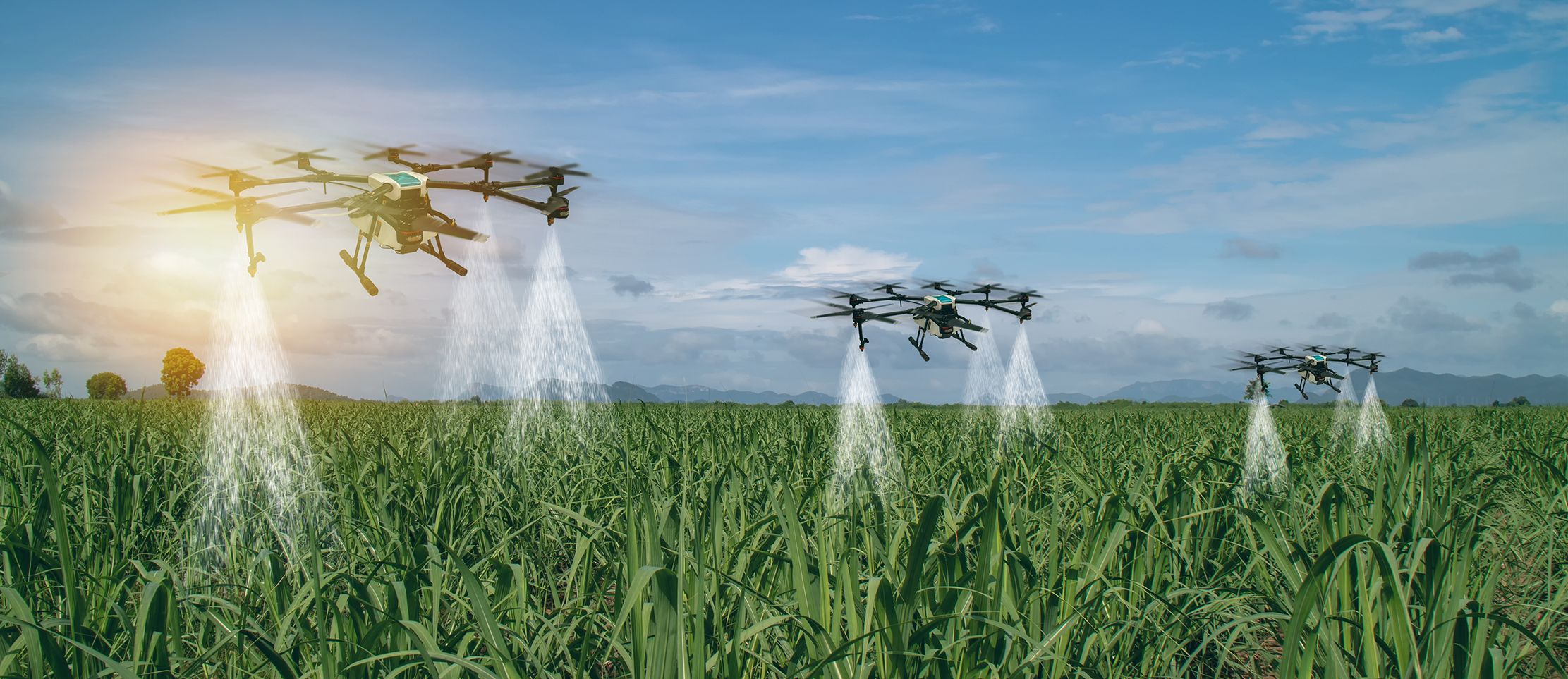 How edge computing can analyse real-time data from drones in agricultural applications