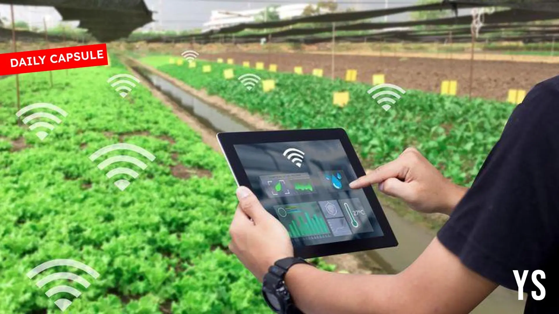Budget expectations of agritech players; What are serum candles?