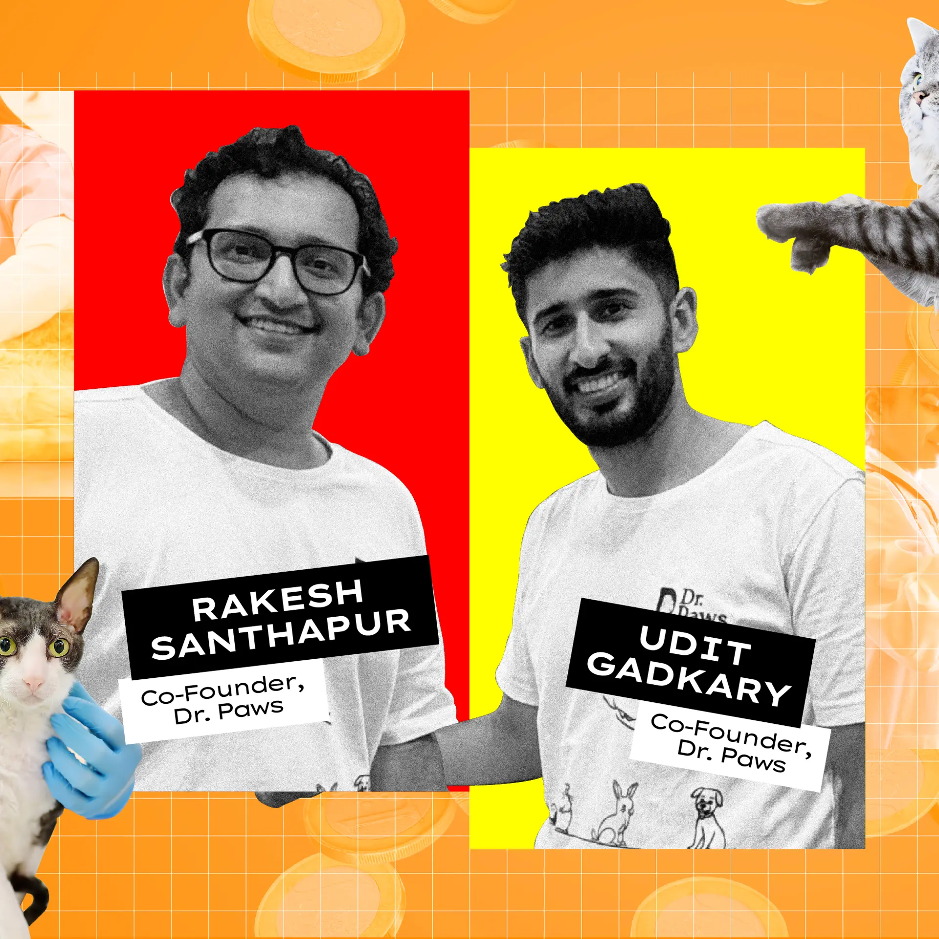 YS Exclusive: Vet chain Dr. Paws raises Rs 7.8 crore in seed round