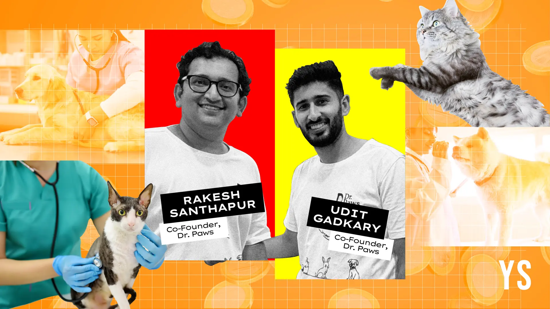 YS Exclusive: Vet chain Dr. Paws raises Rs 7.8 crore in seed round