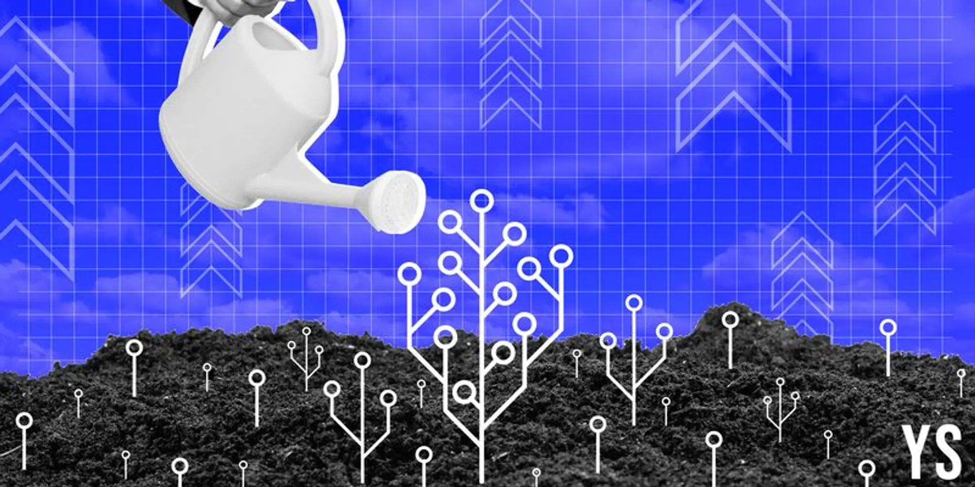 Kimbal raises $22M in Series B round led by GEF Capital
