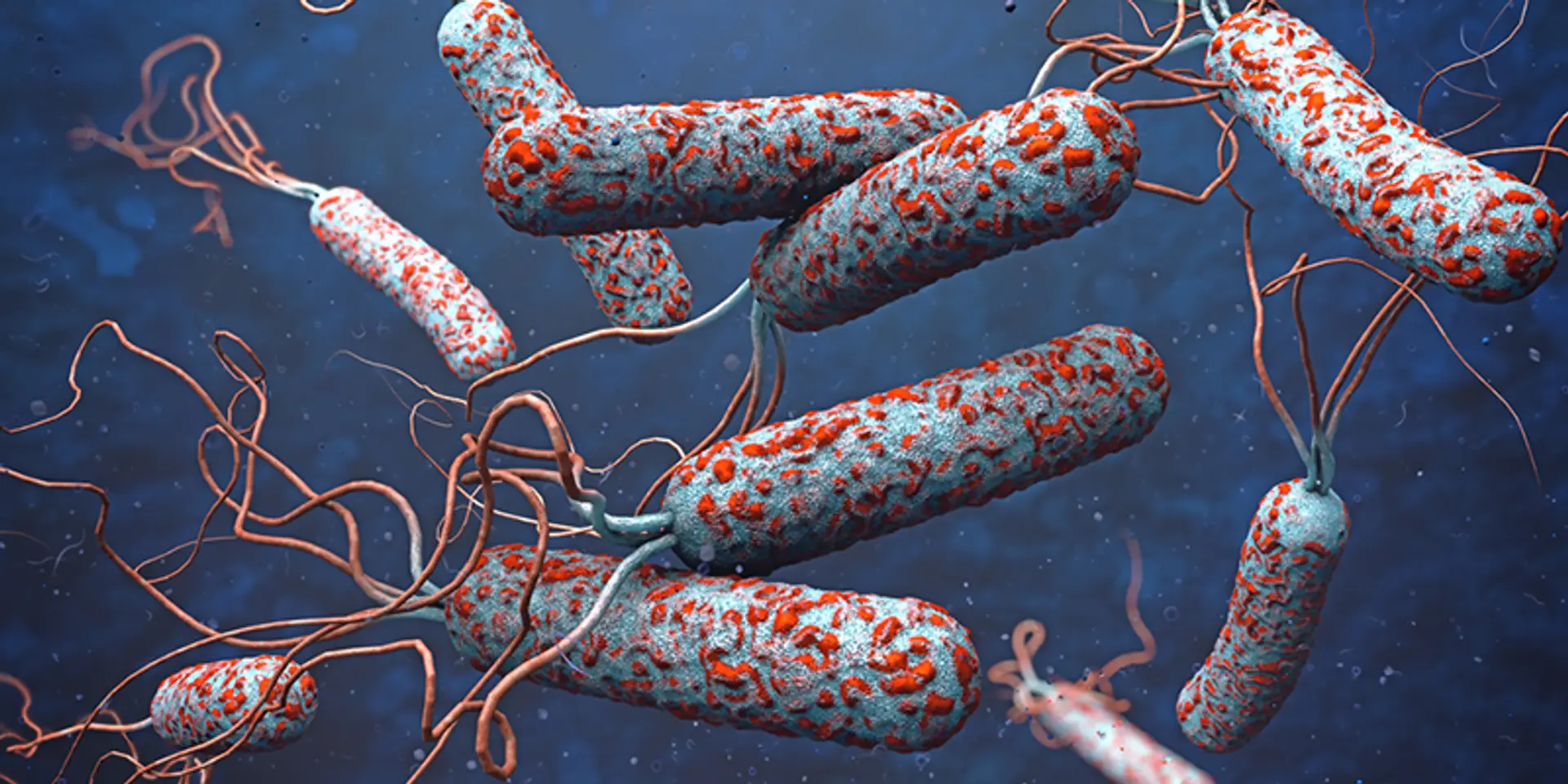 Of cholera and k-means: how data science and clustering has helped in the past, and what it can do for the future