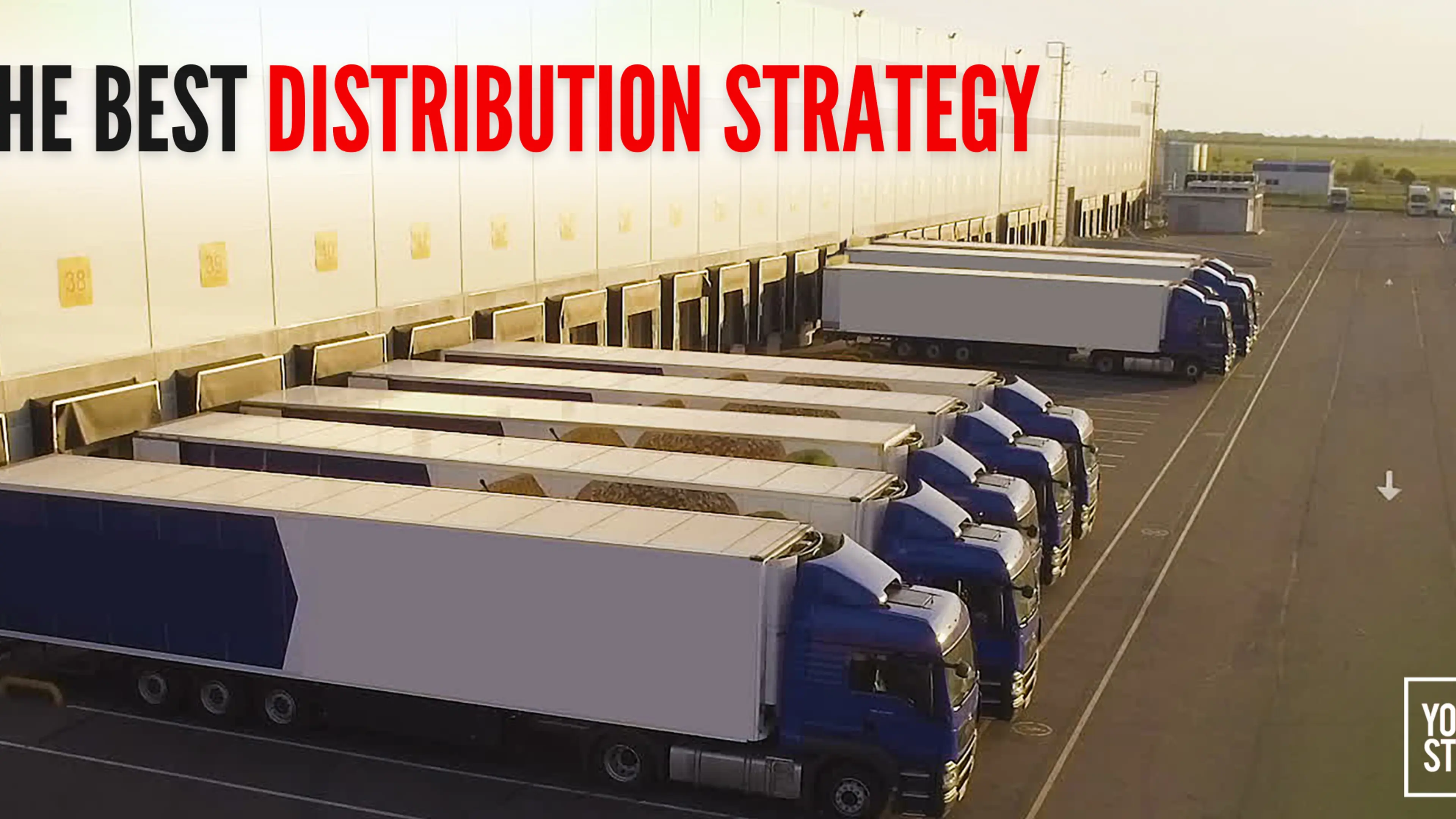 Guide to Choosing the Best Distribution Strategy for Your Startup ...