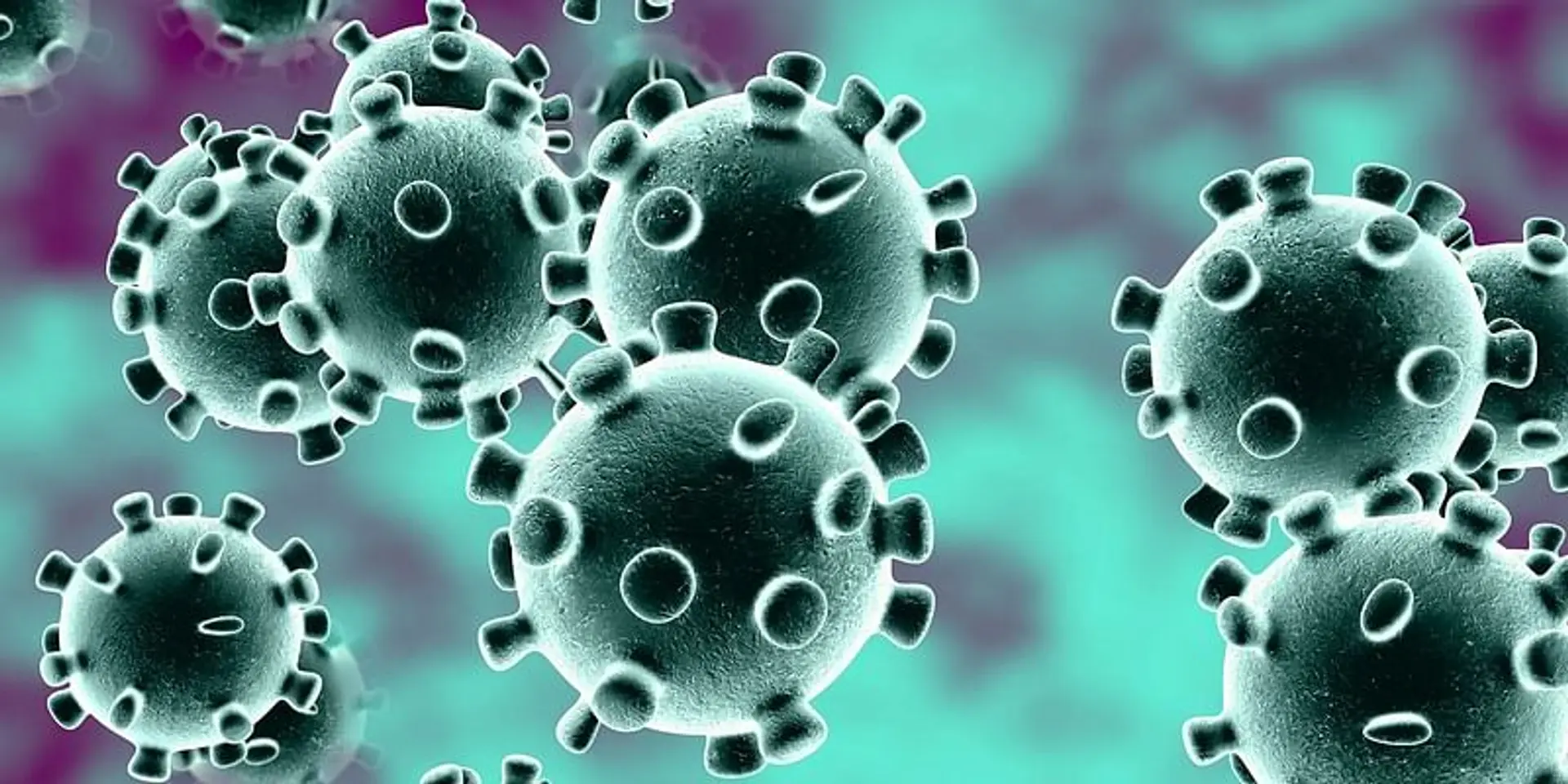 WHO classifies Indian COVID-19 strain as 'variant of concern'
