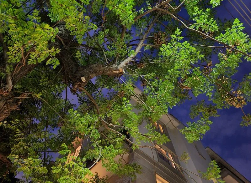 Samsung Galaxy S20 Plus 