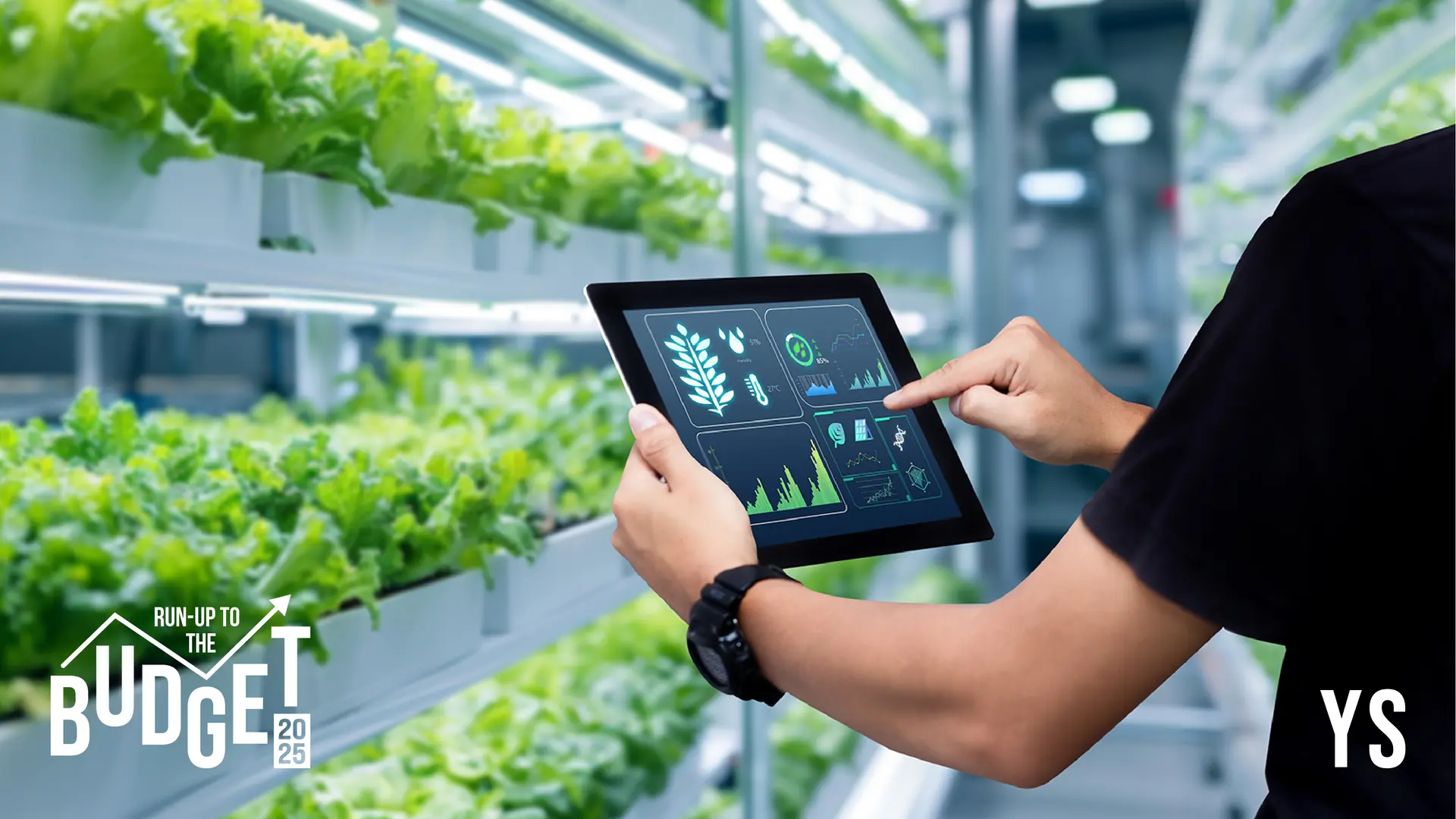 Budget 2025: Agritech sector calls for focus on infrastructure and sustainability