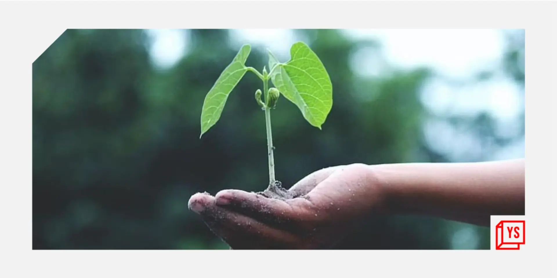 Fighting climate change: These startups are helping India become carbon zero by leveraging technology